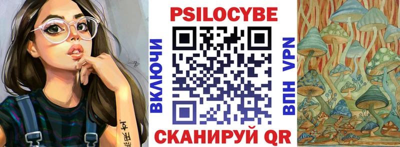 даркнет официальный сайт Цоци-Юрт Псилоцибиновые грибы GOLDEN TEACHER